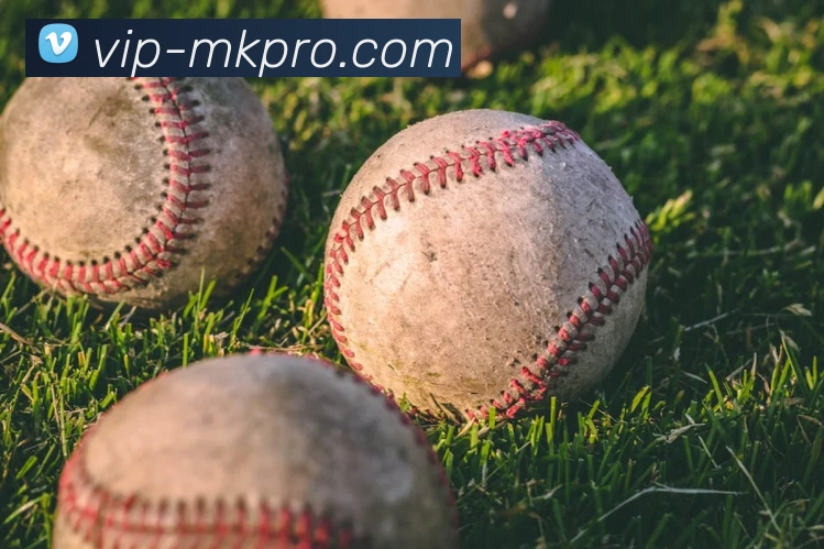 MK体育官方中心发展历程