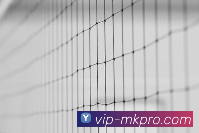 解读2025国民经济数据体育娱乐用品类消费为何实现高速增长